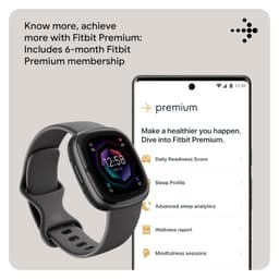 Fitbit Sense 2 Health &amp; Fitness Watch (Shadow Grey/Graphite Aluminium) with 6-Month Premium Membership - Thumbnail 7